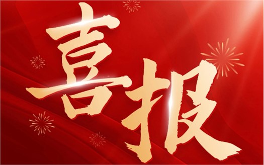 集团荣膺2025中国民营企业500强第249位，制造业民营企业500强第177位，排名较去年双双大幅提升