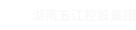 湖南j9国际站官网首页直达控股集团有限公司